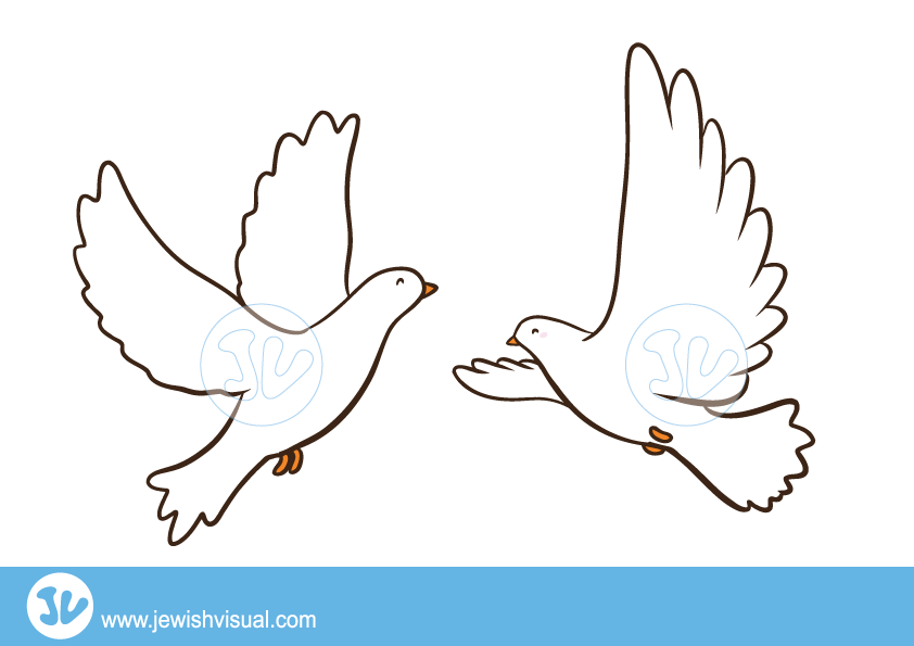 ×ª××¦××ª ×ª××× × ×¢×××¨ jvisual ×ª××× ××ª ×©× ××××ª